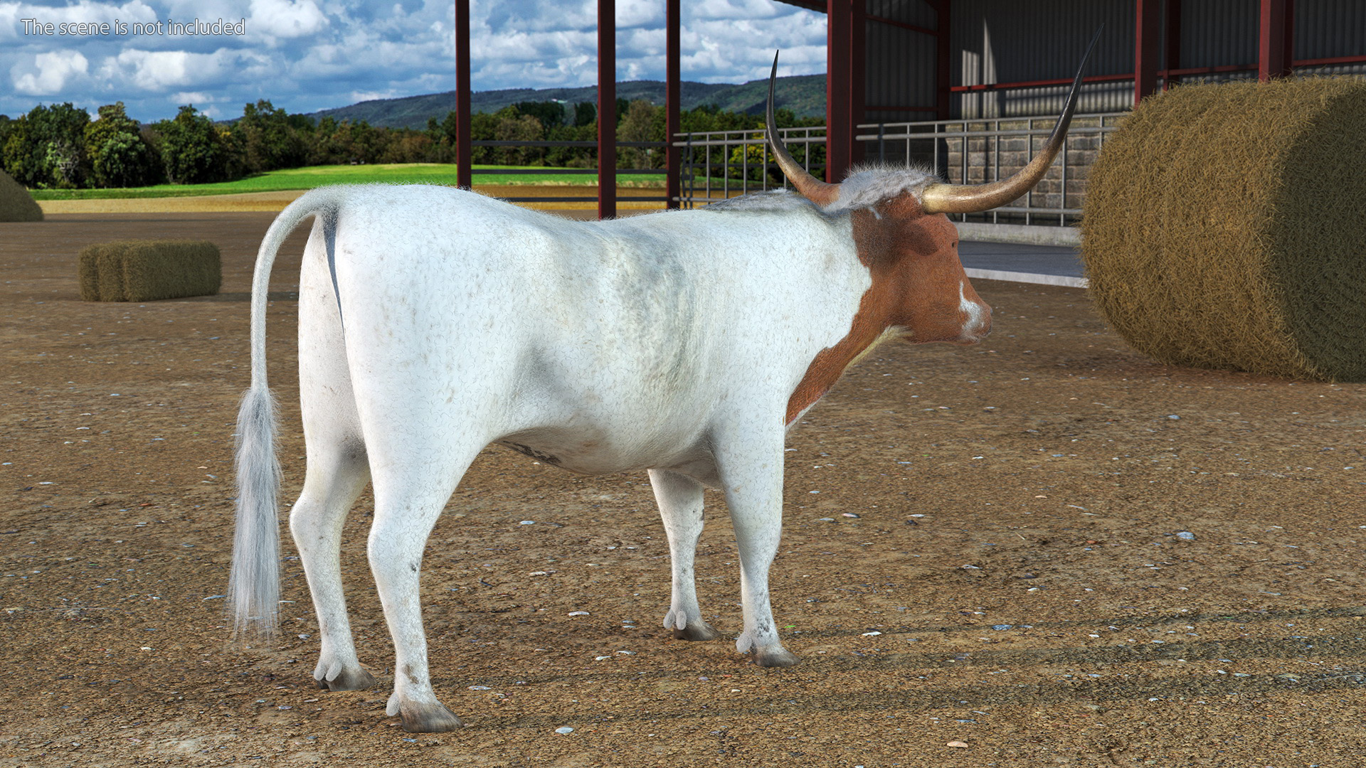 3D model Texas Longhorn White Color Fur