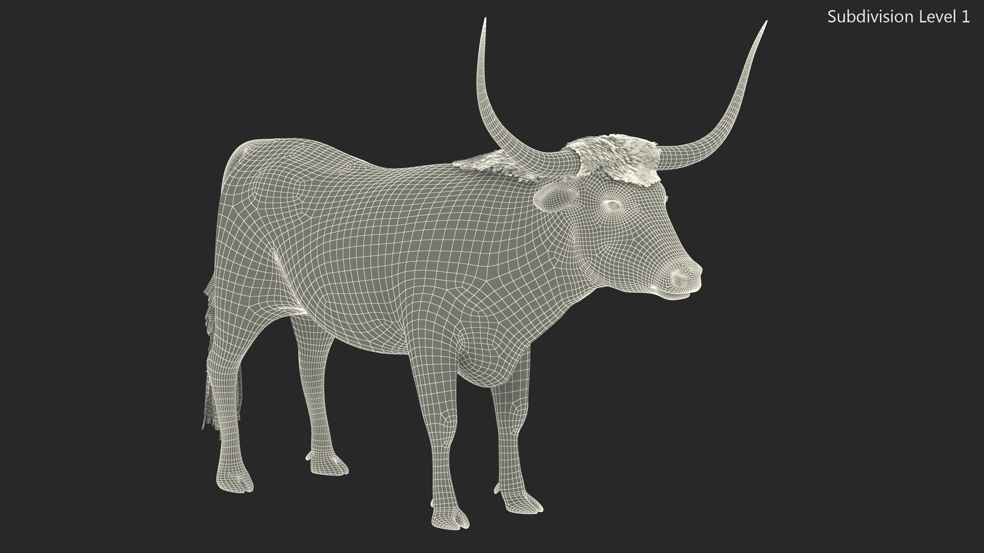 3D model Texas Longhorn White Color Fur