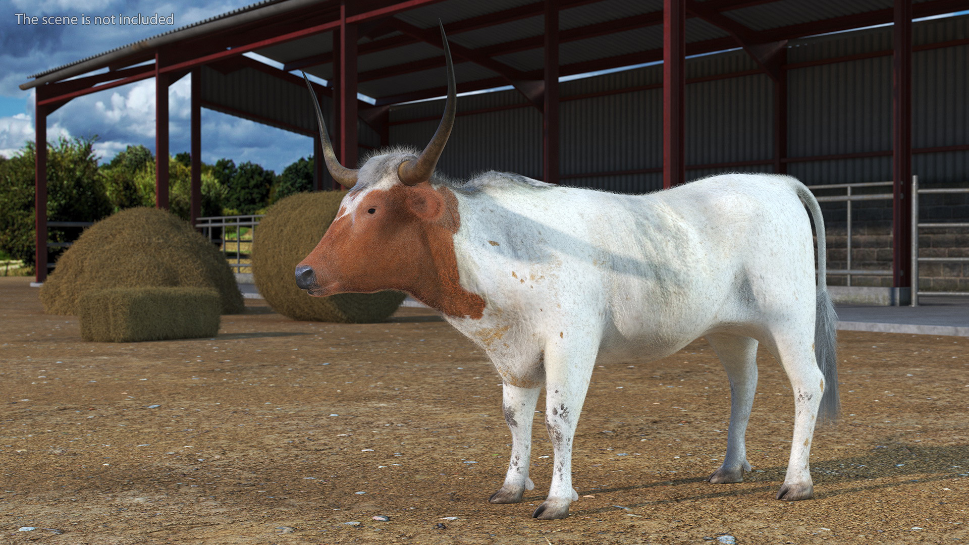 3D model Texas Longhorn White Color Fur