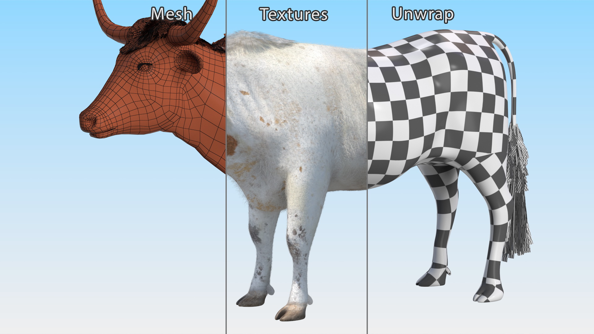 3D model Texas Longhorn White Color Fur