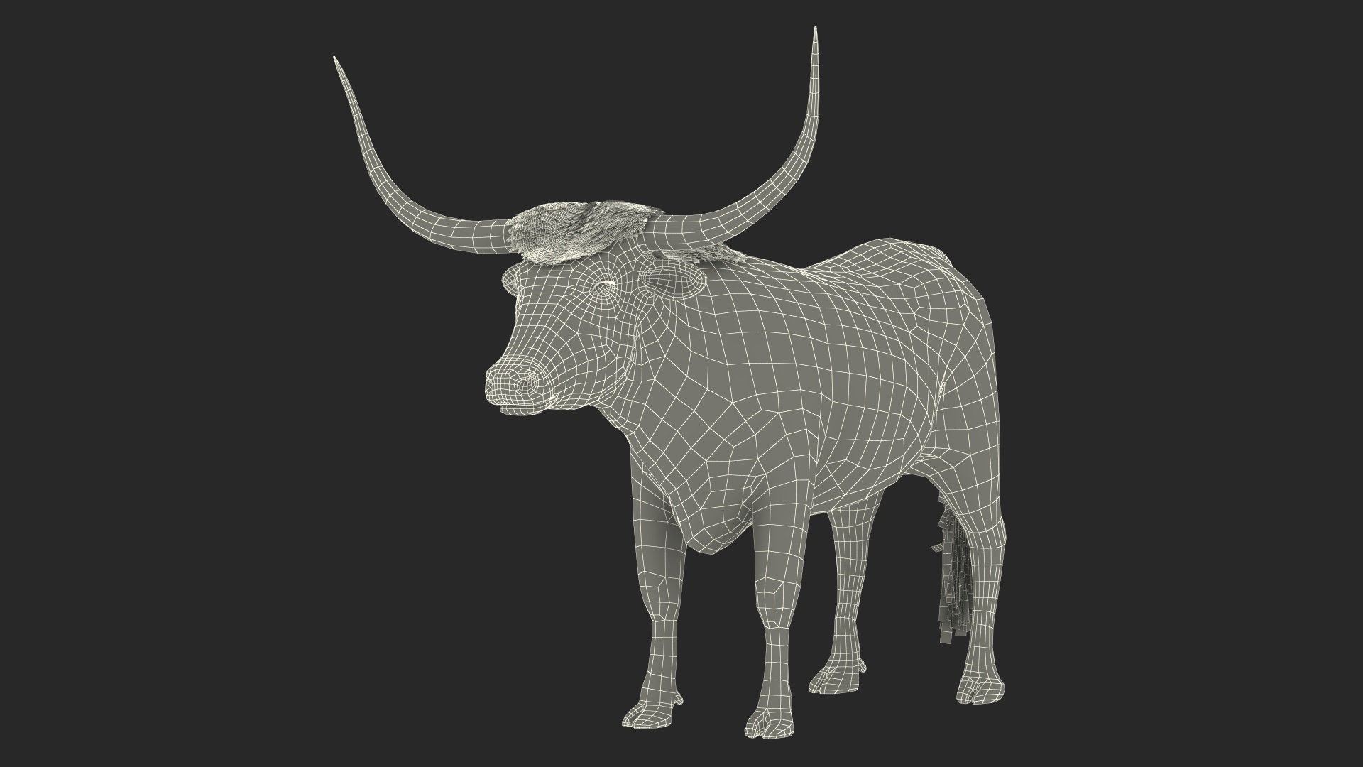 3D model Texas Longhorn White Color Fur
