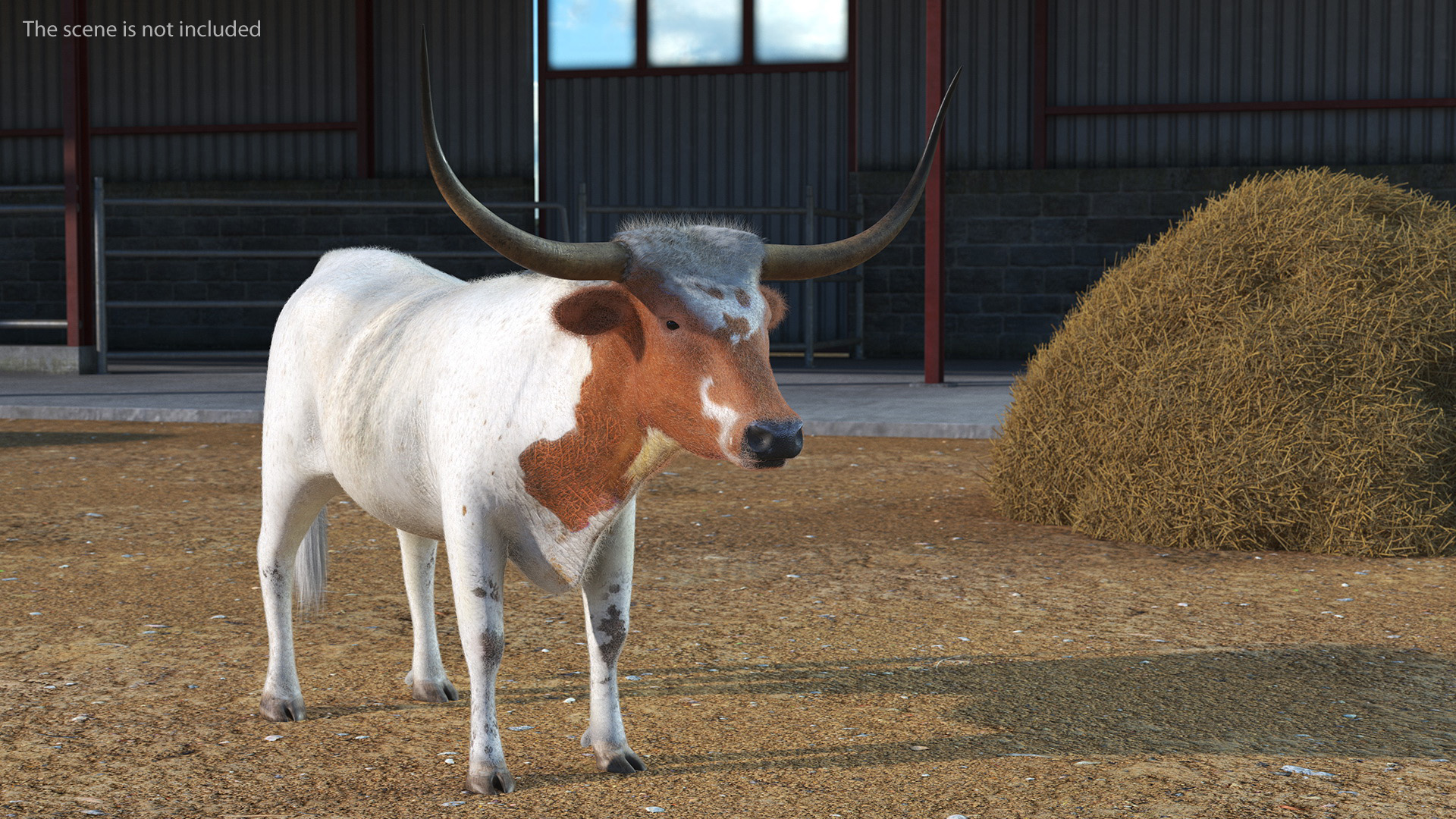 3D model Texas Longhorn White Color Fur