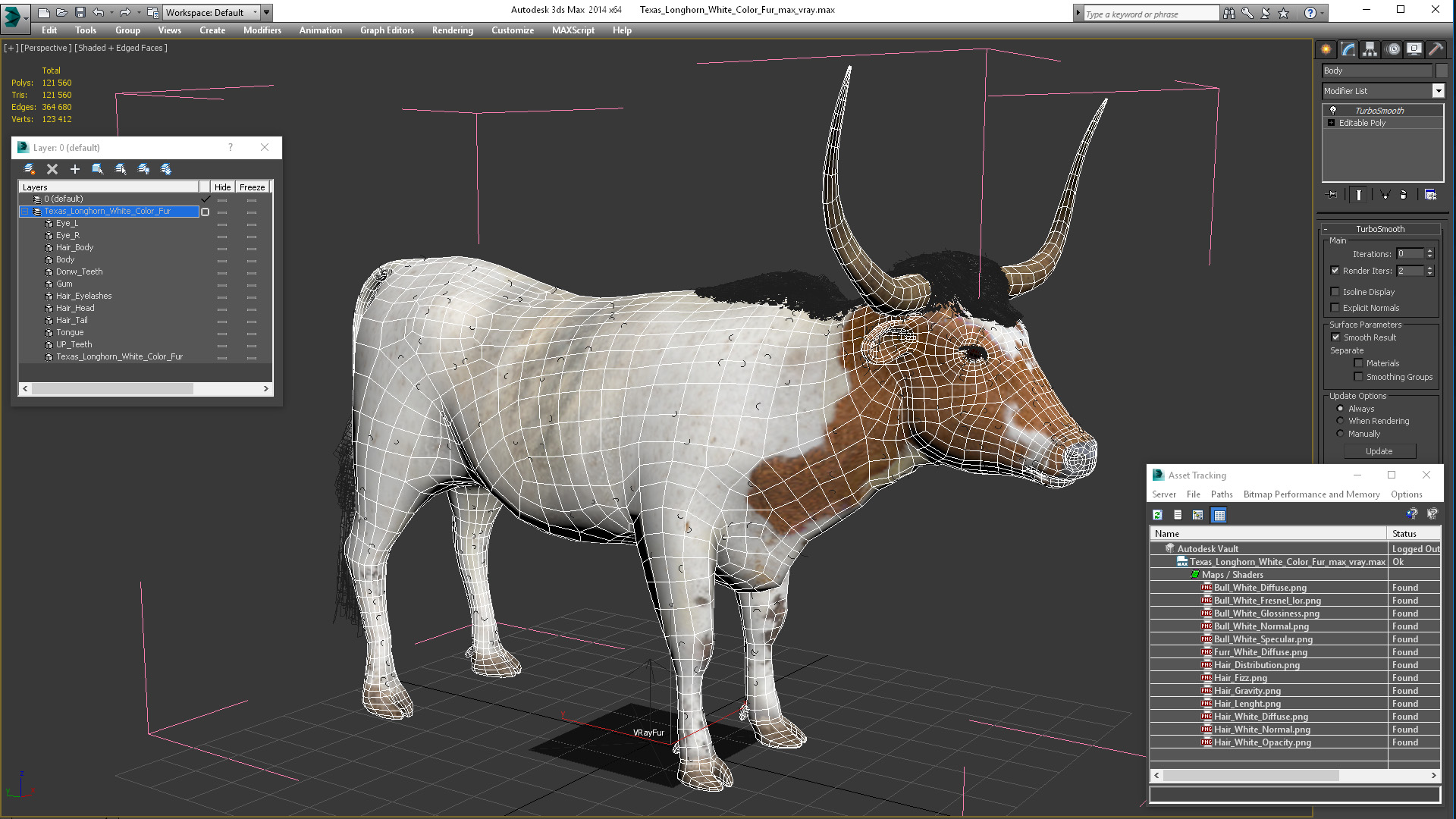 3D model Texas Longhorn White Color Fur