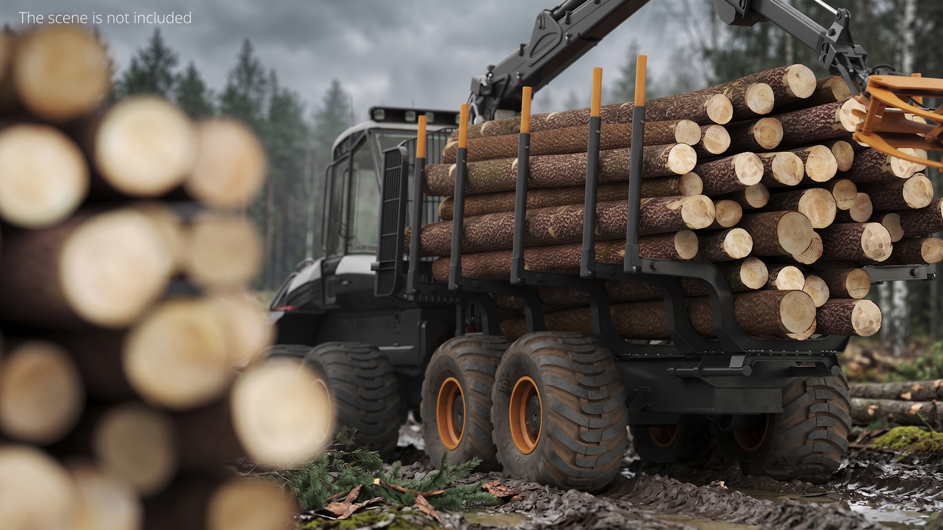 Timber Trailer with Loader, view 4