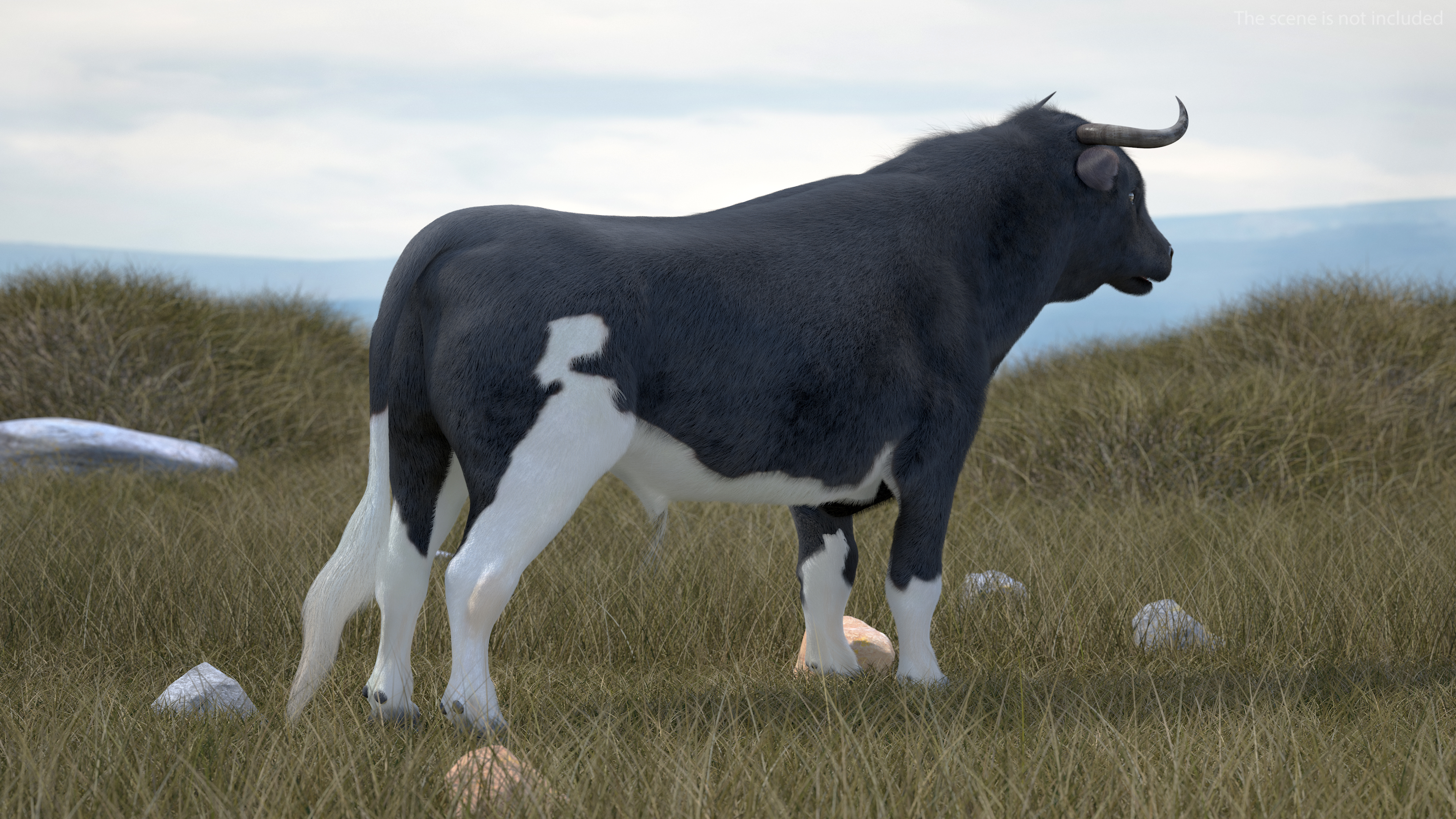 Black Bull Fur 3D model