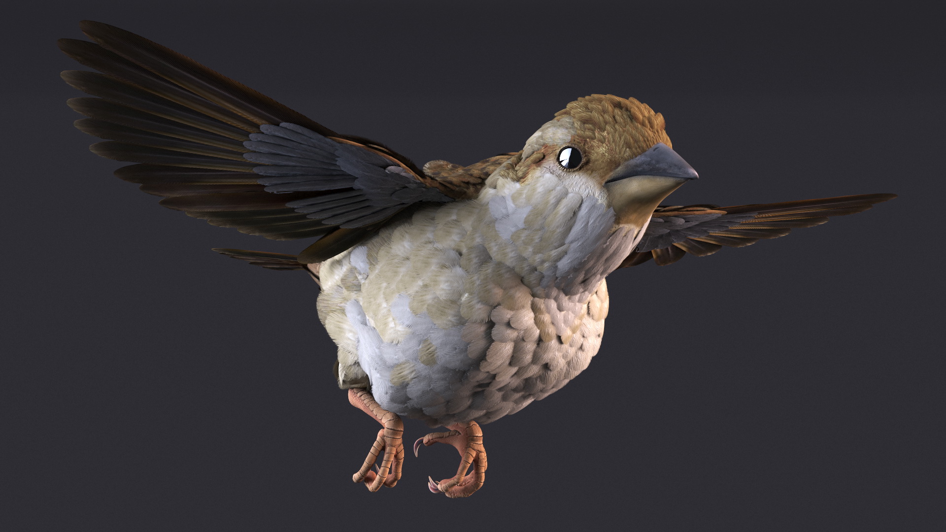 3D model House Sparrow Rigged