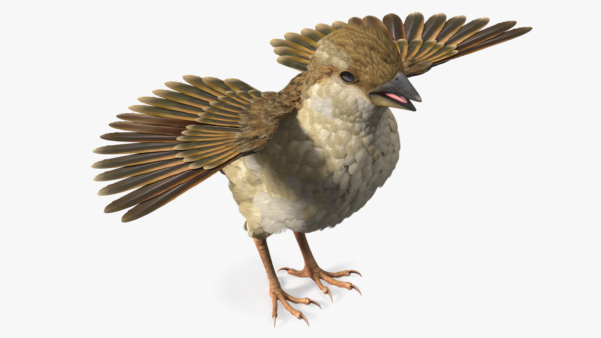 3D model House Sparrow Rigged