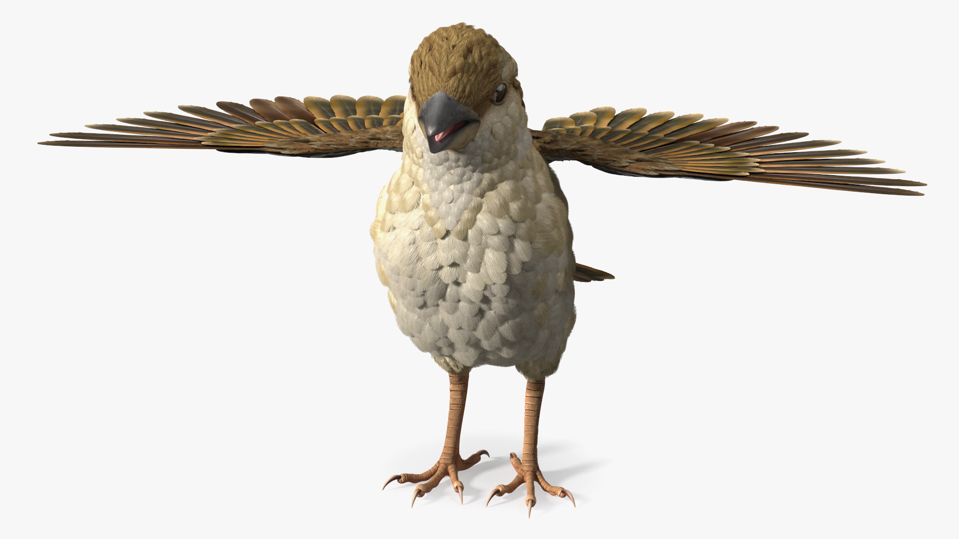 3D model House Sparrow Rigged