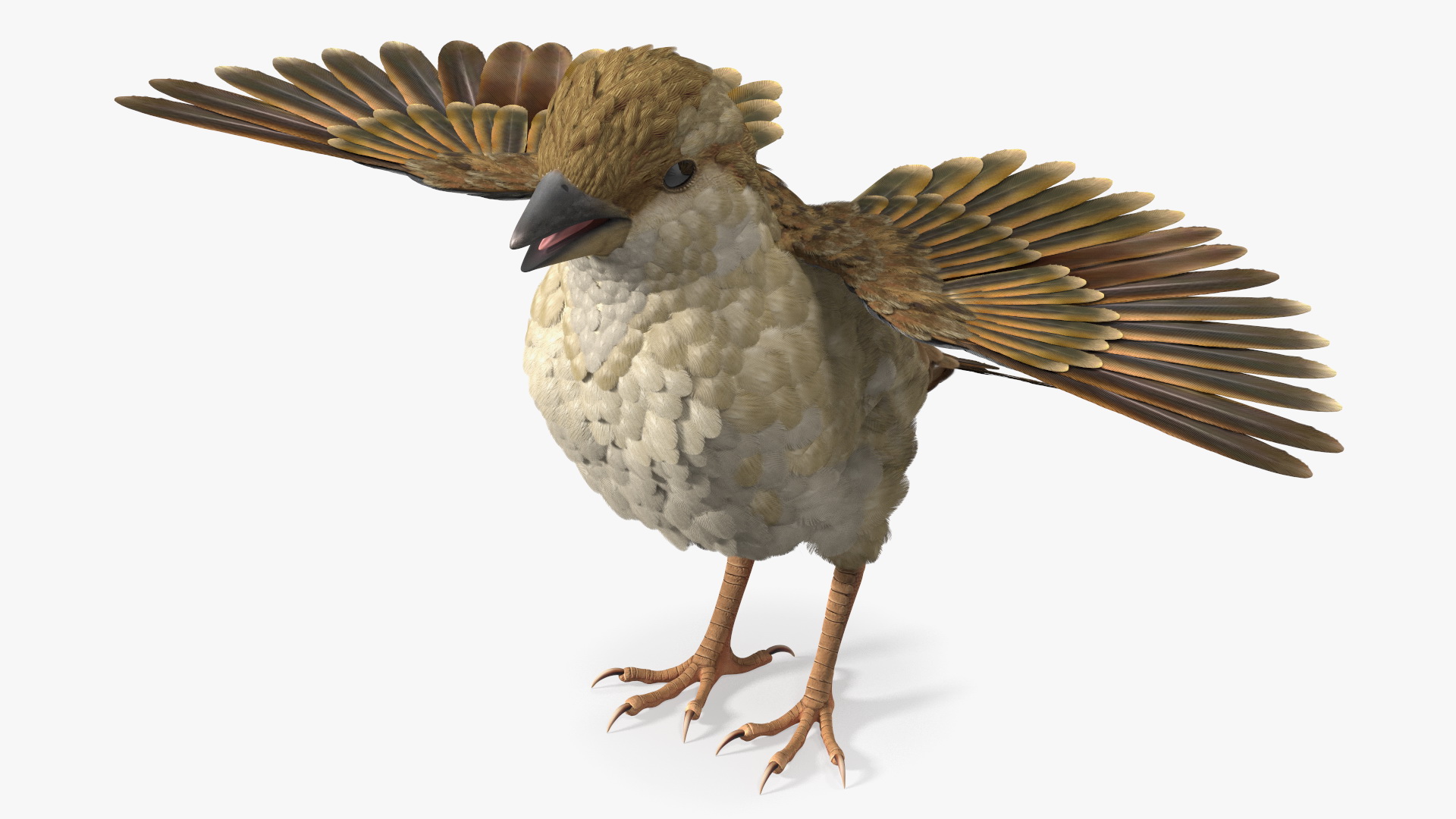 3D model House Sparrow Rigged