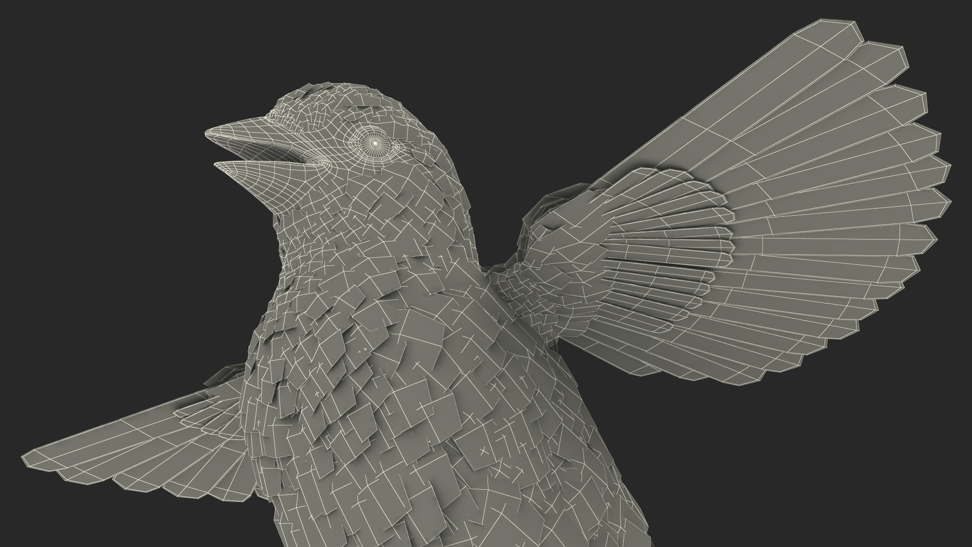 3D model House Sparrow Rigged