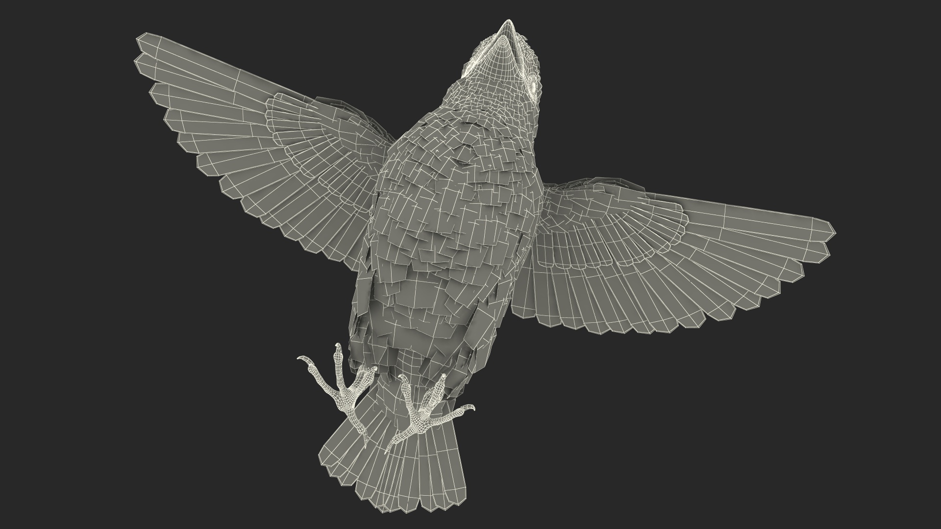 3D model House Sparrow Rigged