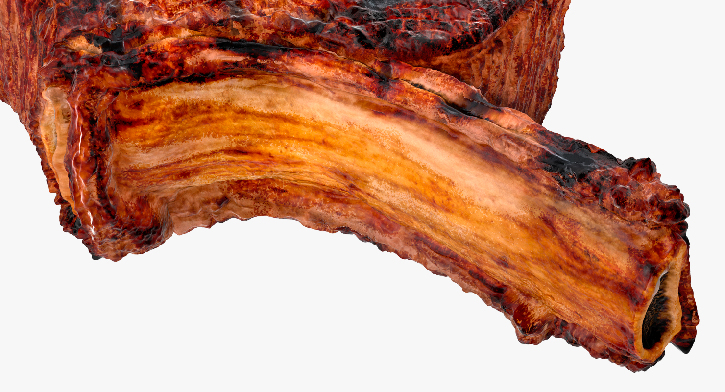 3D Grilled Rump Steak model