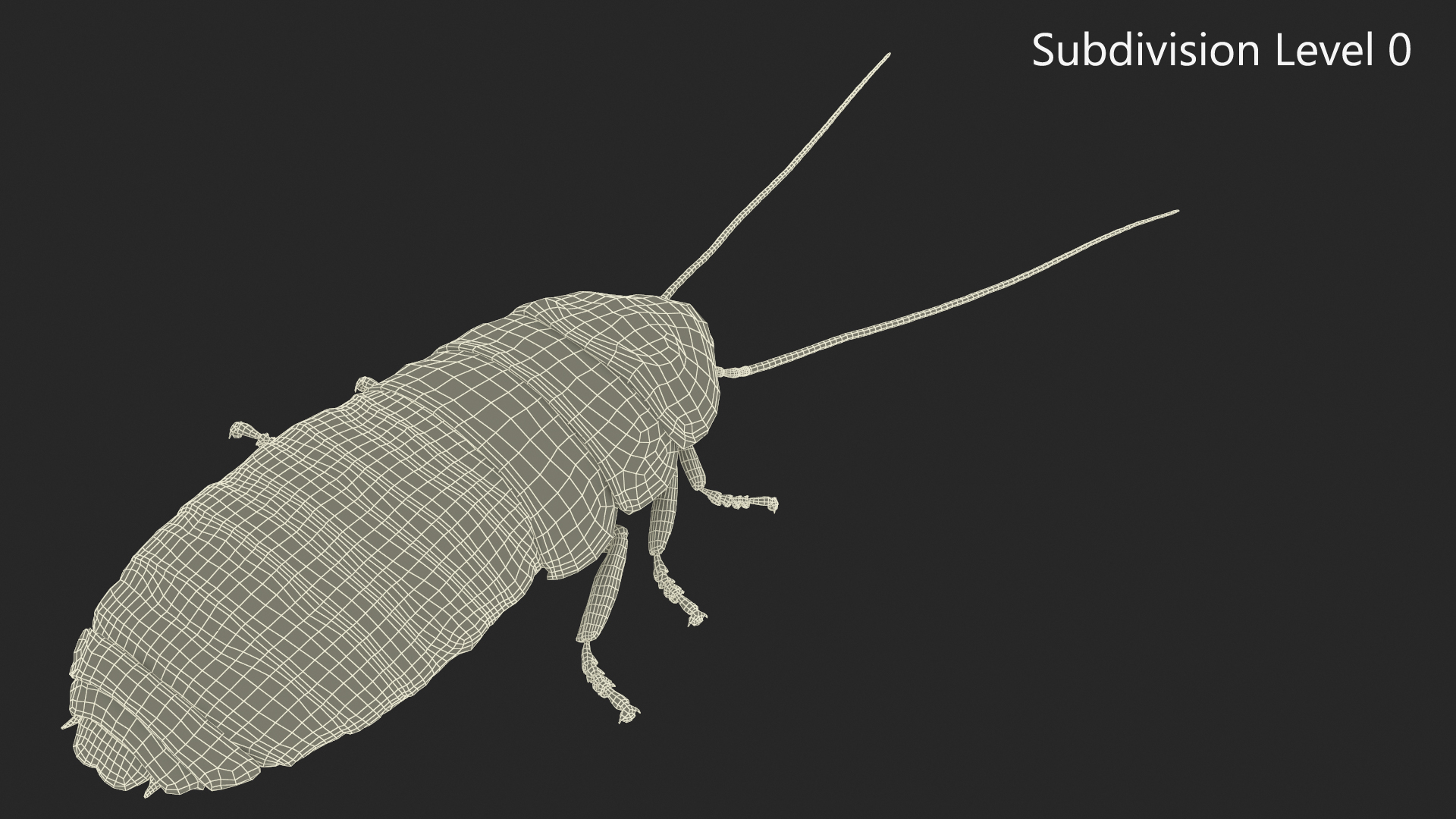 3D Wood Feeding Cockroach Rigged for Maya model