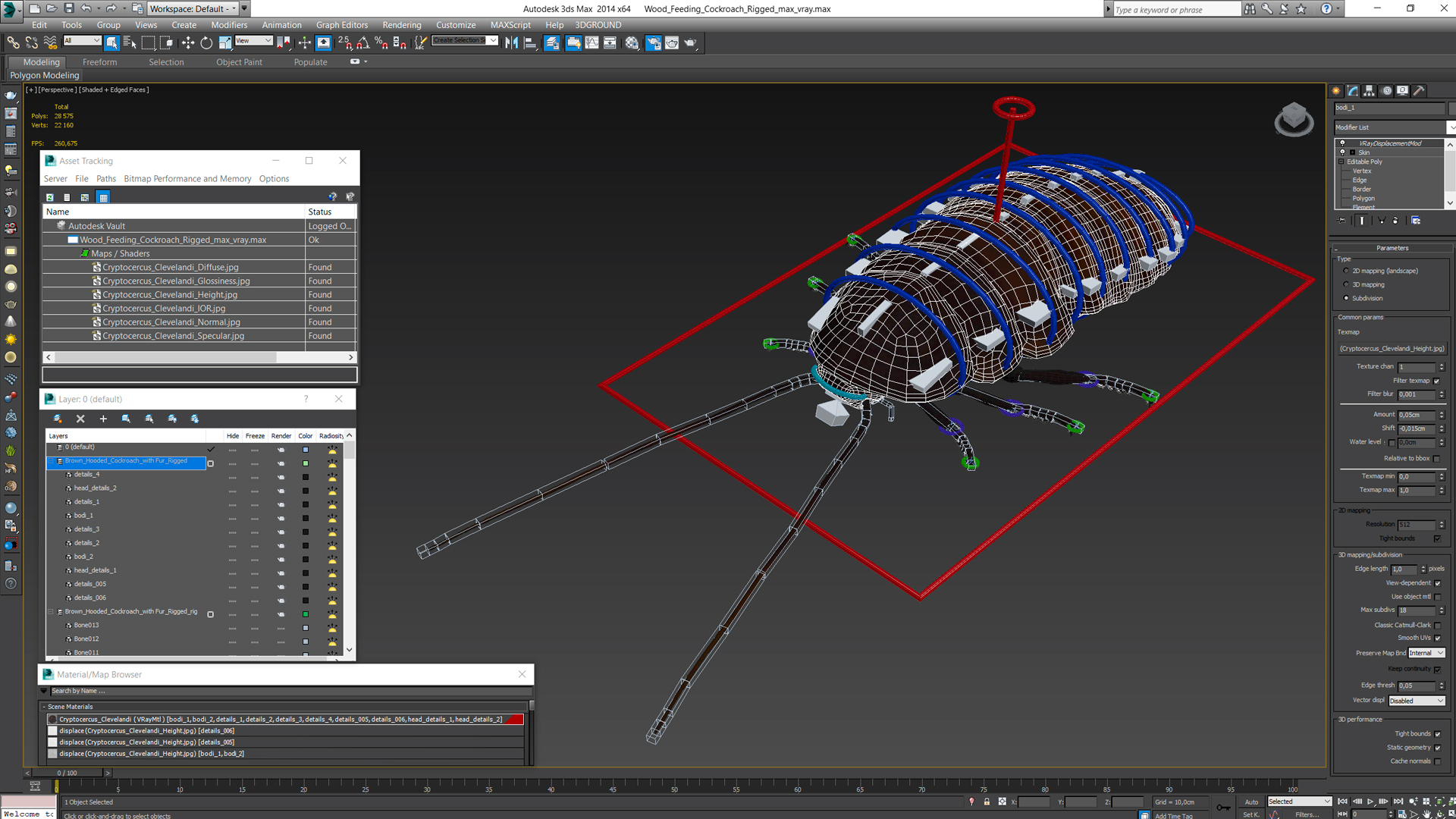 3D Wood Feeding Cockroach Rigged for Maya model