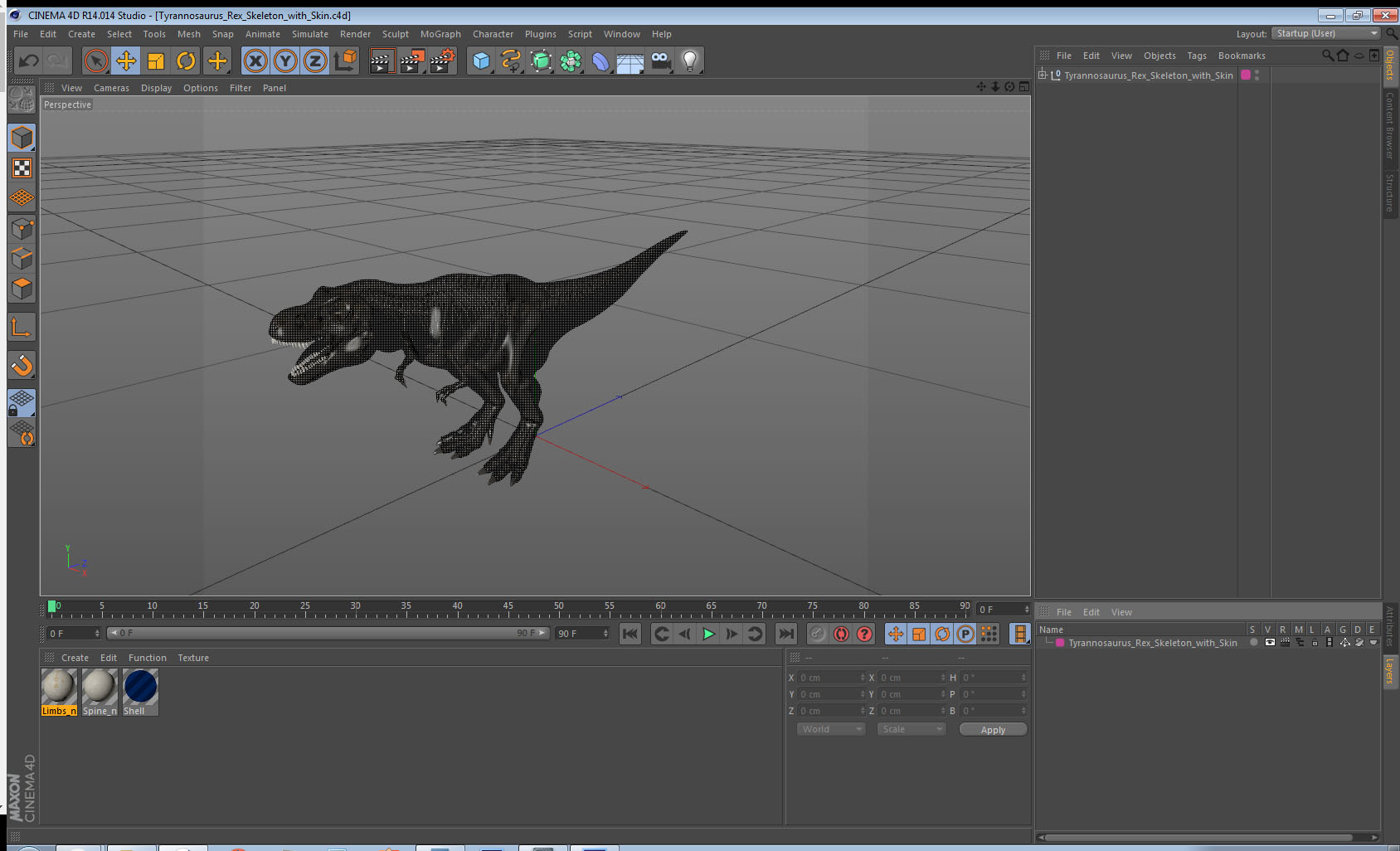 3D Tyrannosaurus Rex Skeleton with Skin