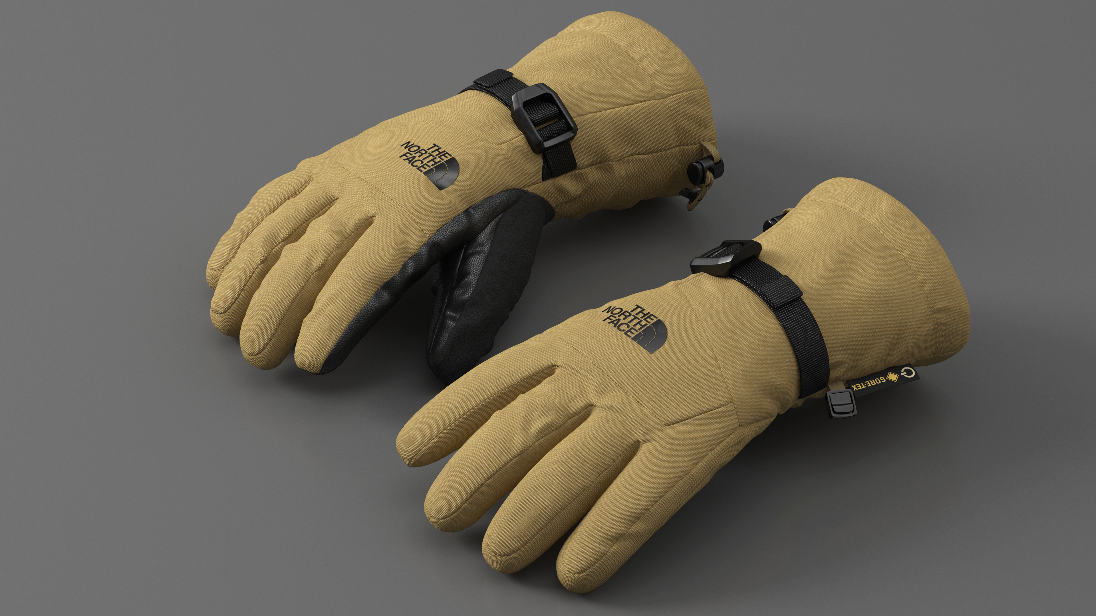 The North Face Mens Montana Etip GTX Mitt Gloves Beige 3D model