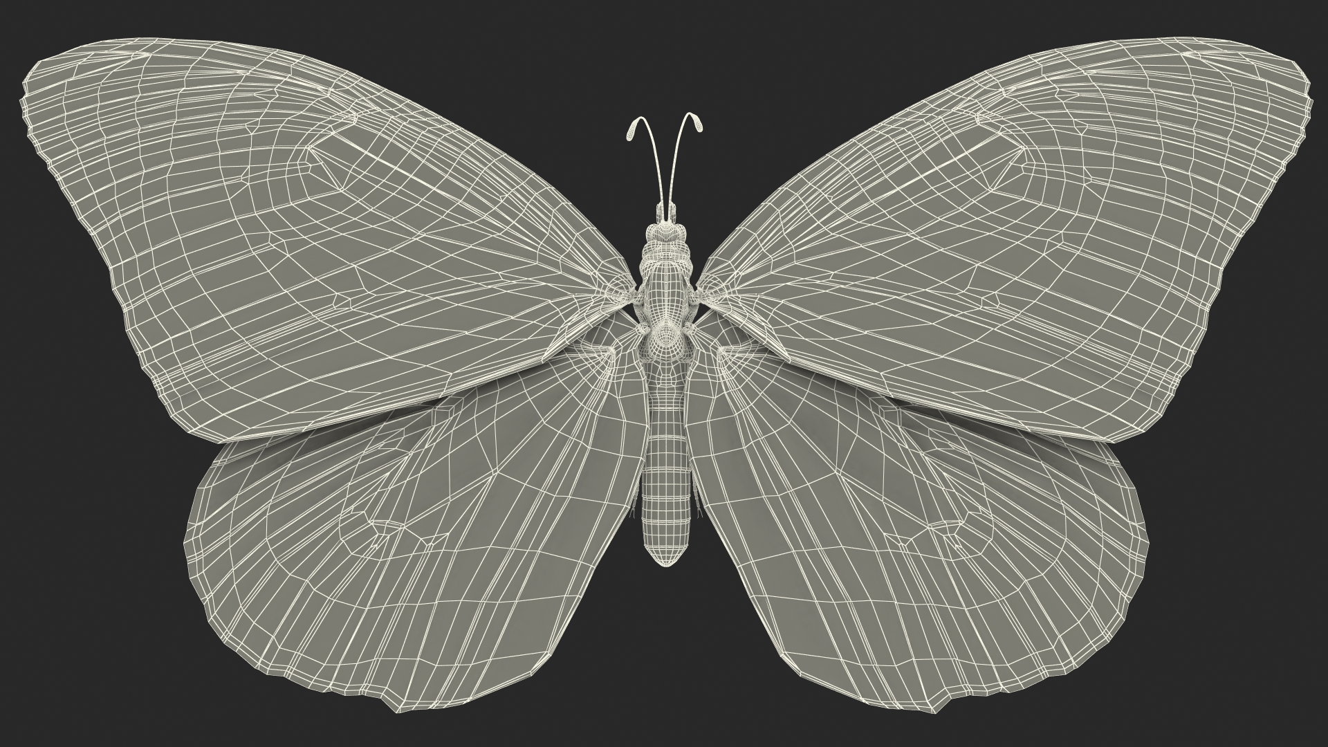 Animated Monarch Butterfly Collects Nectar from Swinging Flower Fur Rigged 3D model