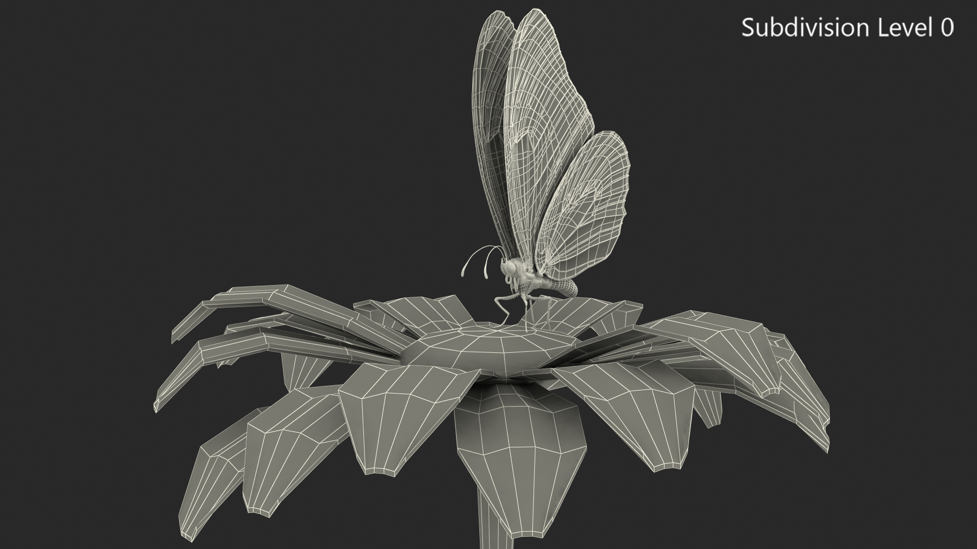 Animated Monarch Butterfly Collects Nectar from Swinging Flower Fur Rigged 3D model