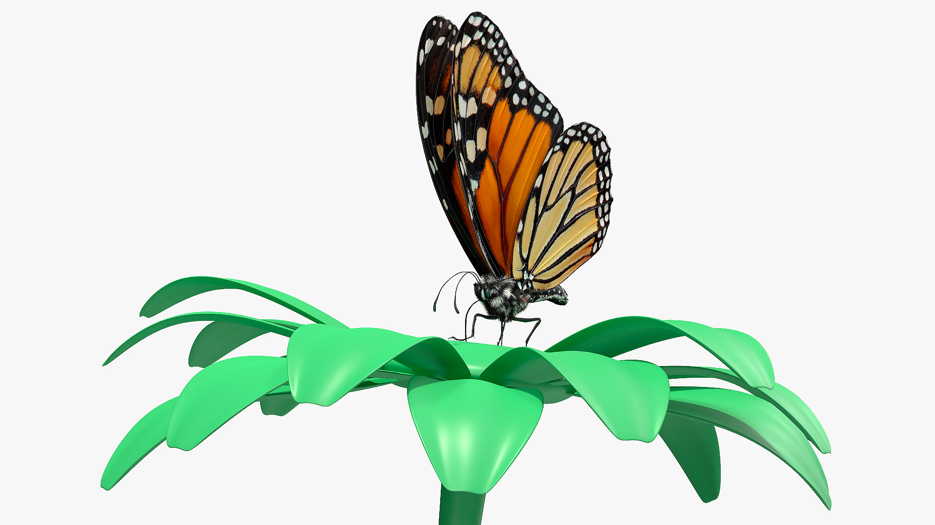 Animated Monarch Butterfly Collects Nectar from Swinging Flower Fur Rigged 3D model