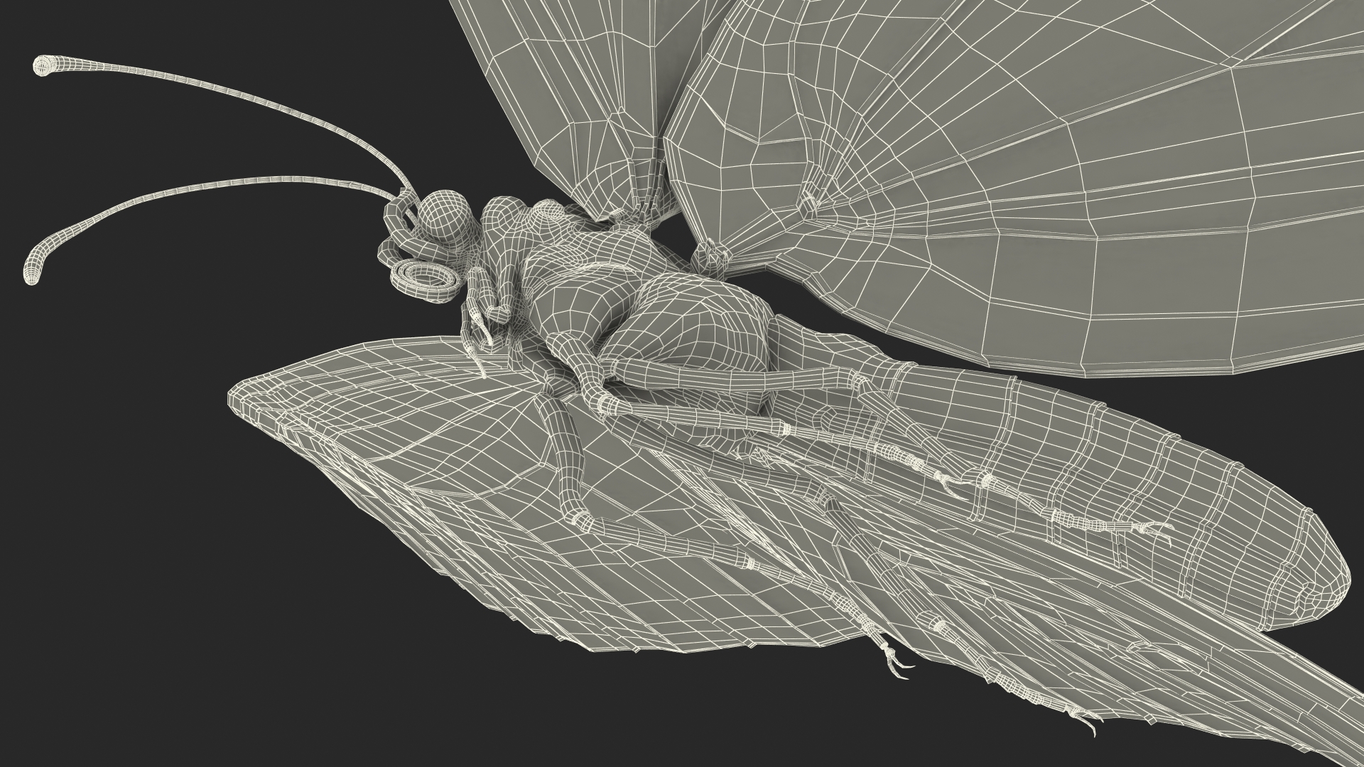 Animated Monarch Butterfly Collects Nectar from Swinging Flower Fur Rigged 3D model
