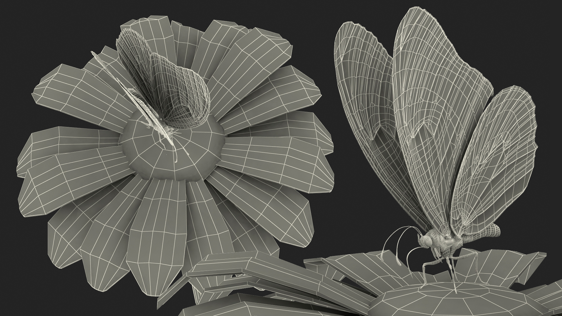 Animated Monarch Butterfly Collects Nectar from Swinging Flower Fur Rigged 3D model