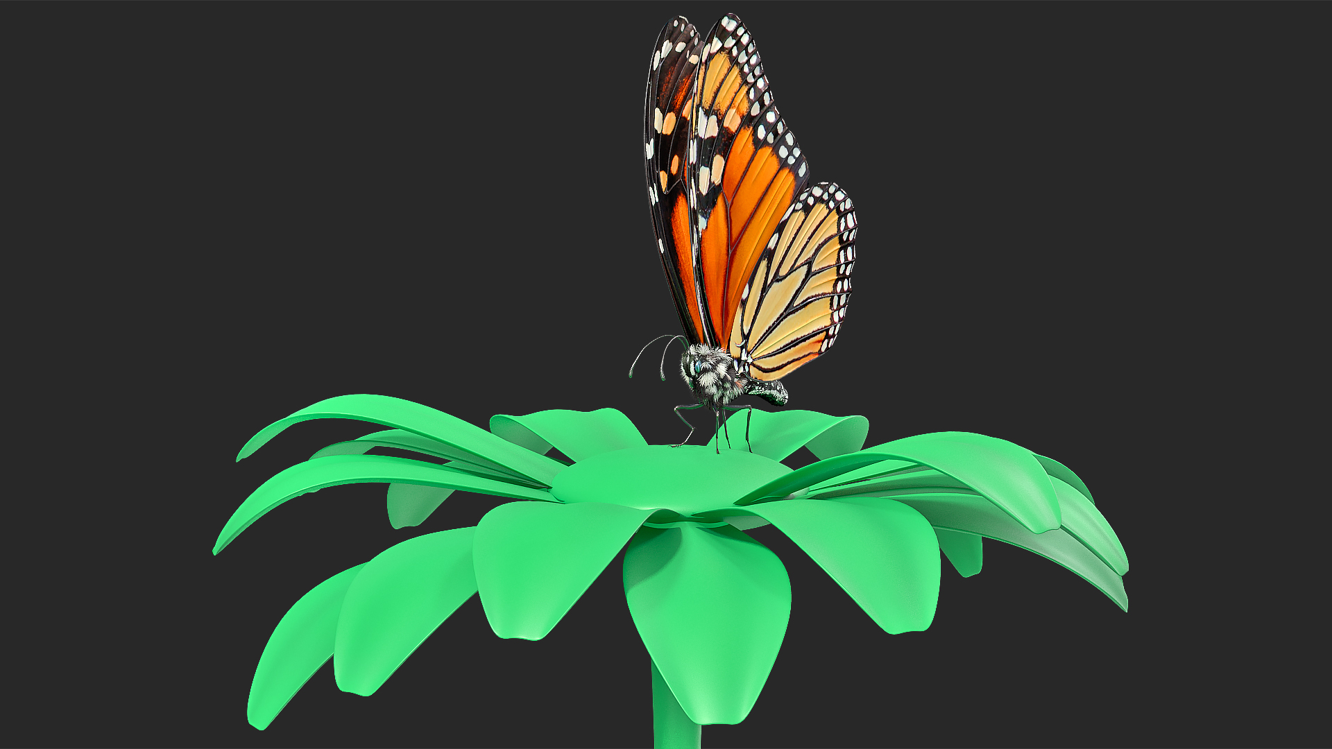 Animated Monarch Butterfly Collects Nectar from Swinging Flower Fur Rigged 3D model