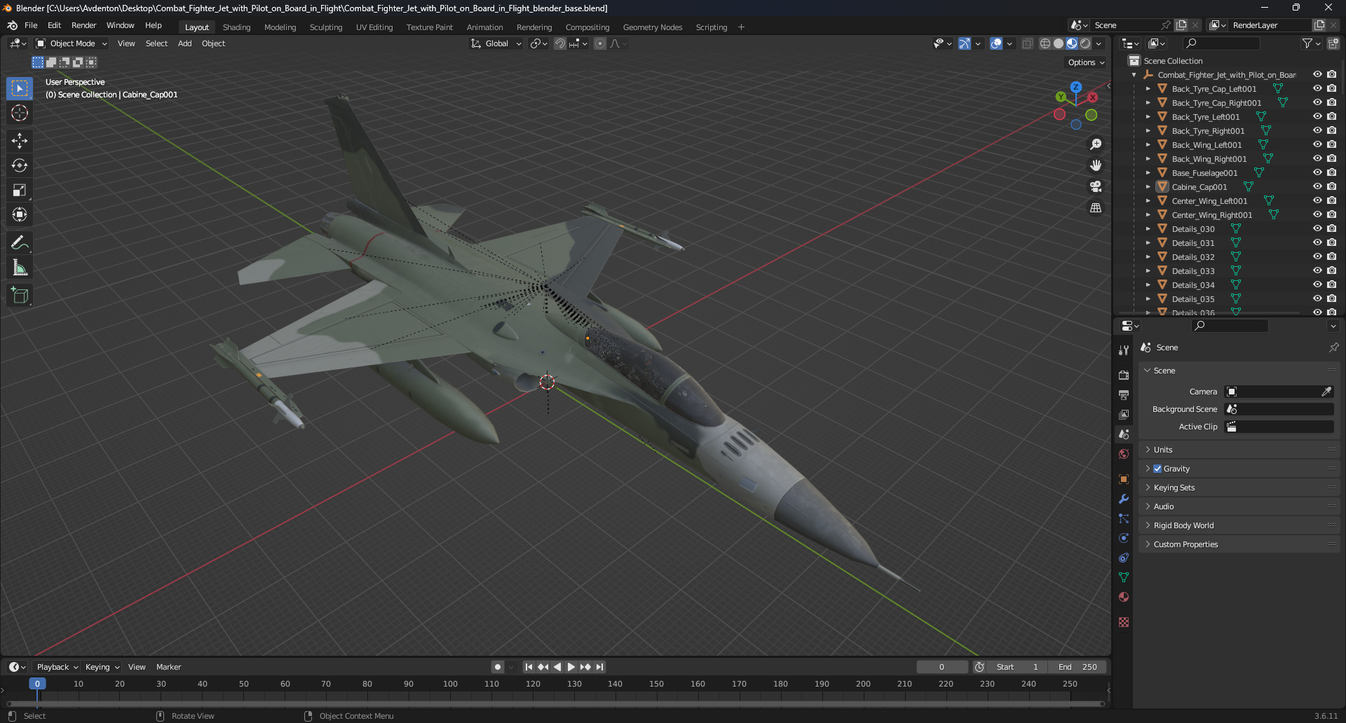 3D Combat Fighter Jet with Pilot on Board in Flight model