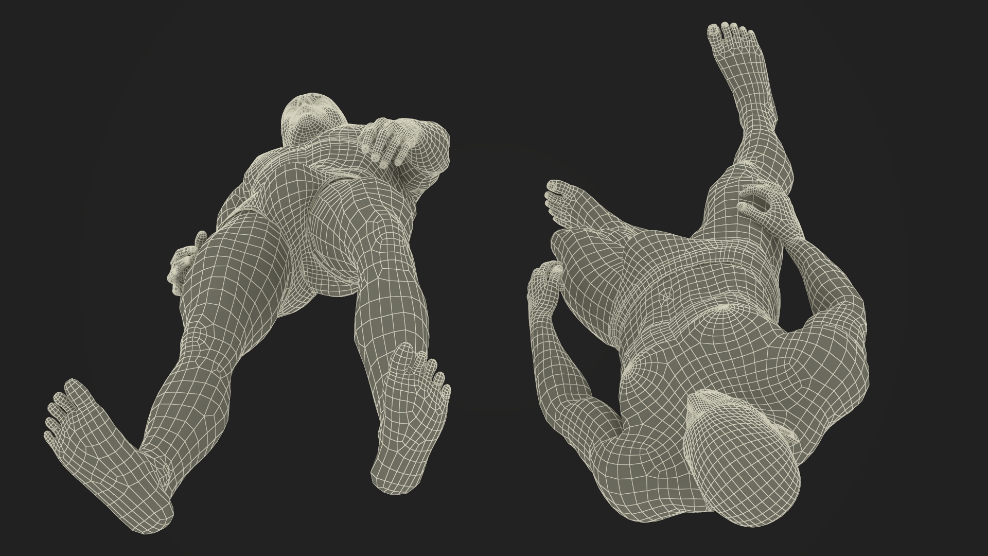 Man Athletic Figure Standing Fur 3D