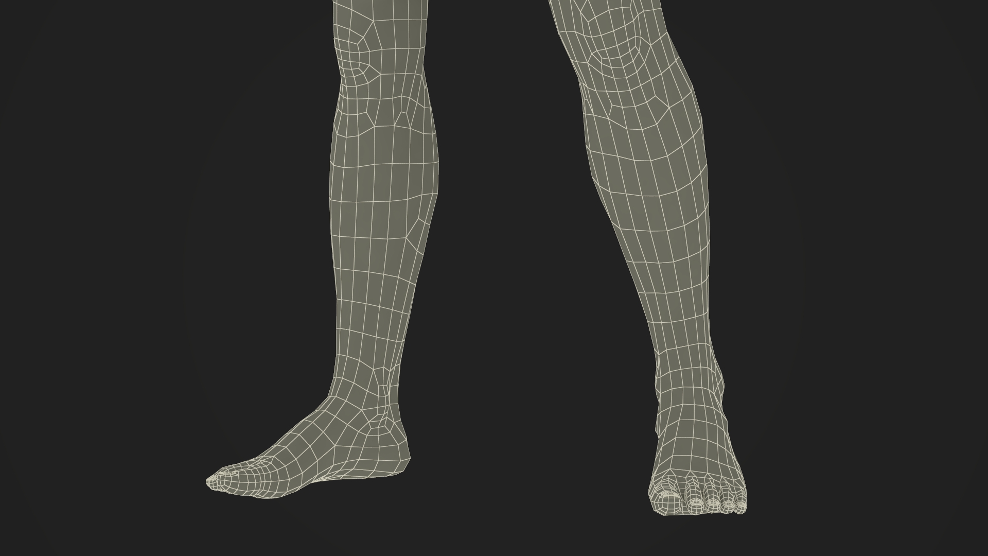 Man Athletic Figure Standing Fur 3D