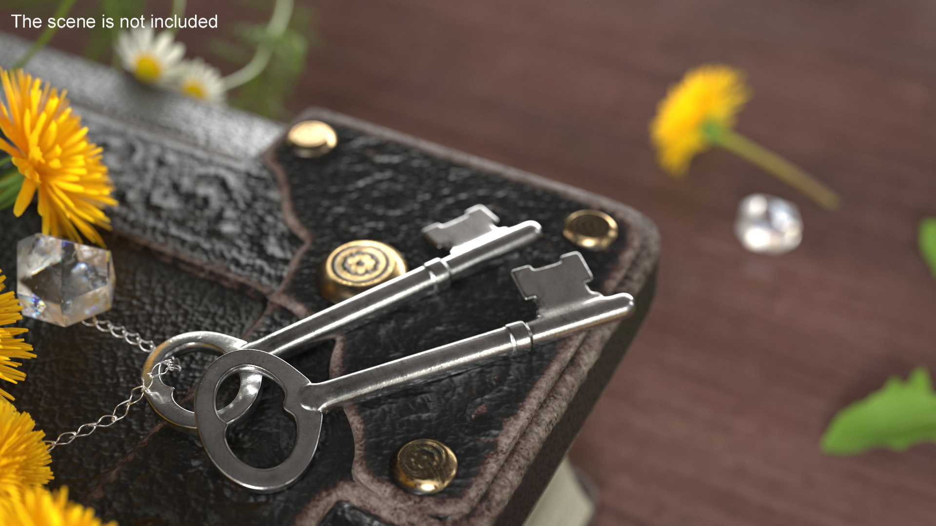 Vintage Skeleton Key Silver 3D