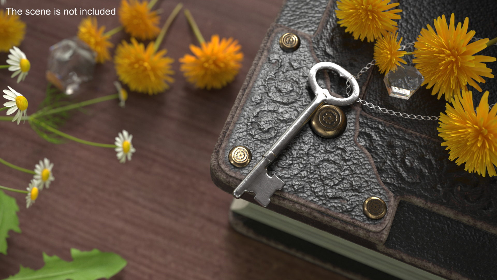 Vintage Skeleton Key Silver 3D