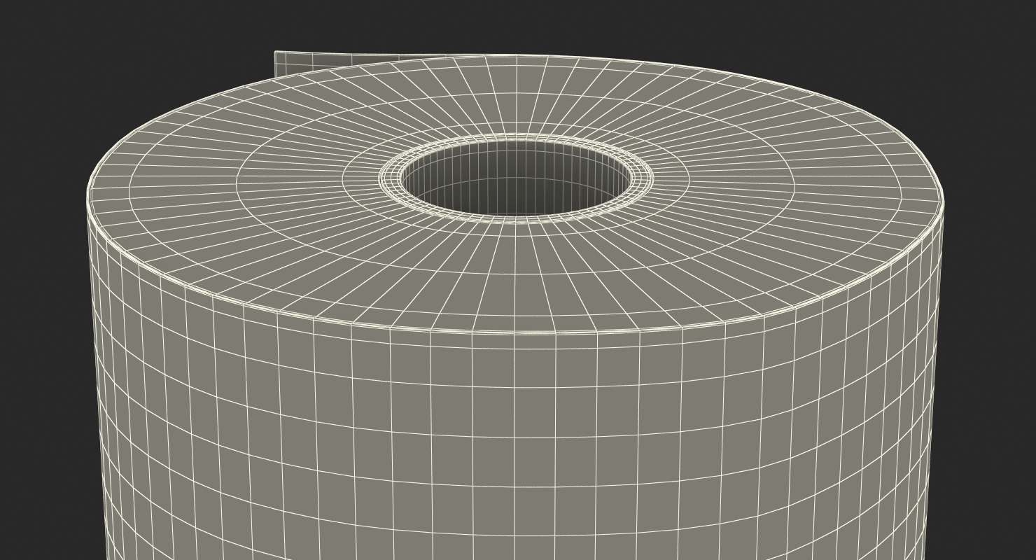 Toilet Paper 3D
