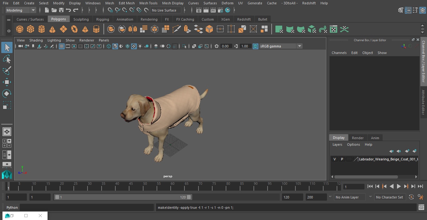 Labrador Wearing Beige Coat 3D