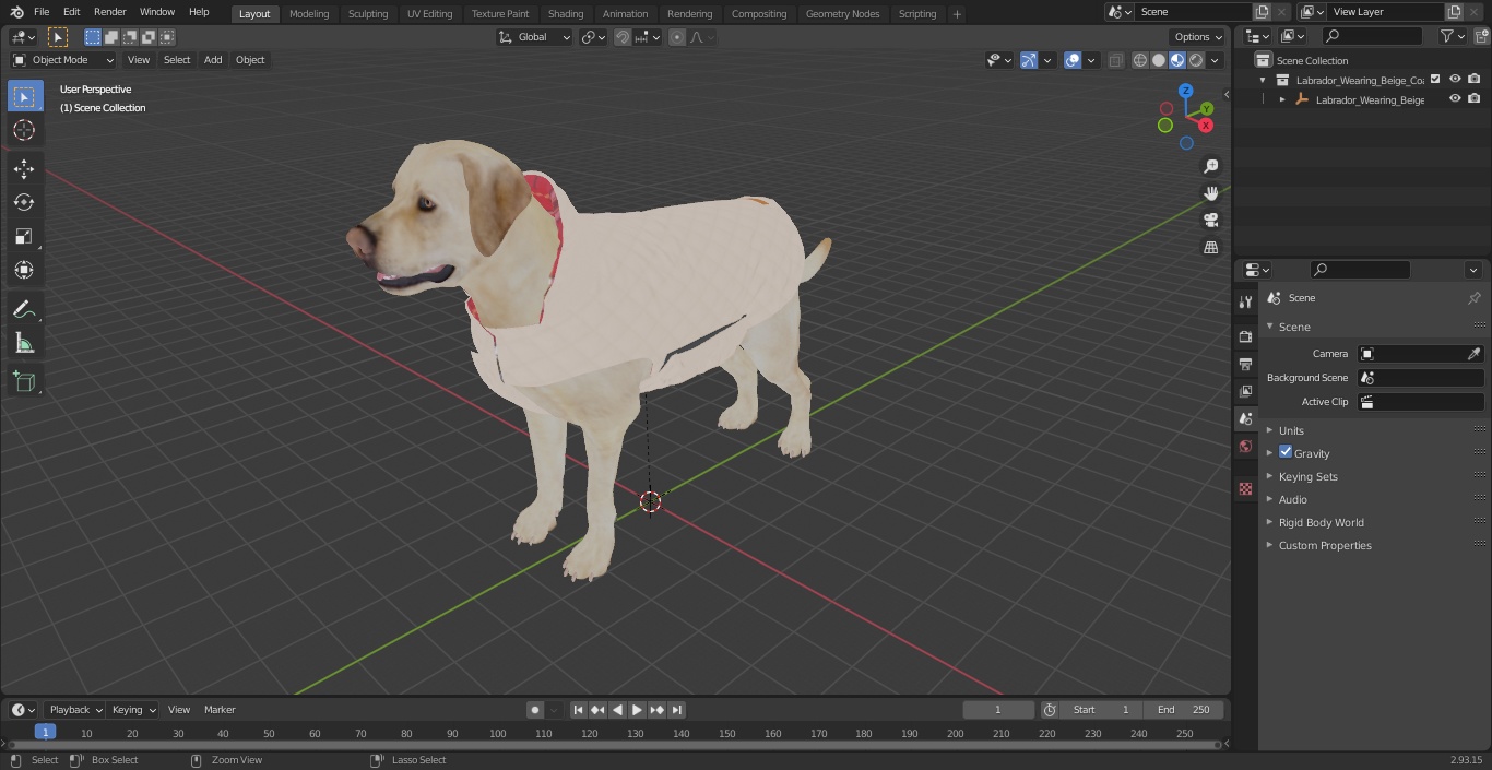 Labrador Wearing Beige Coat 3D