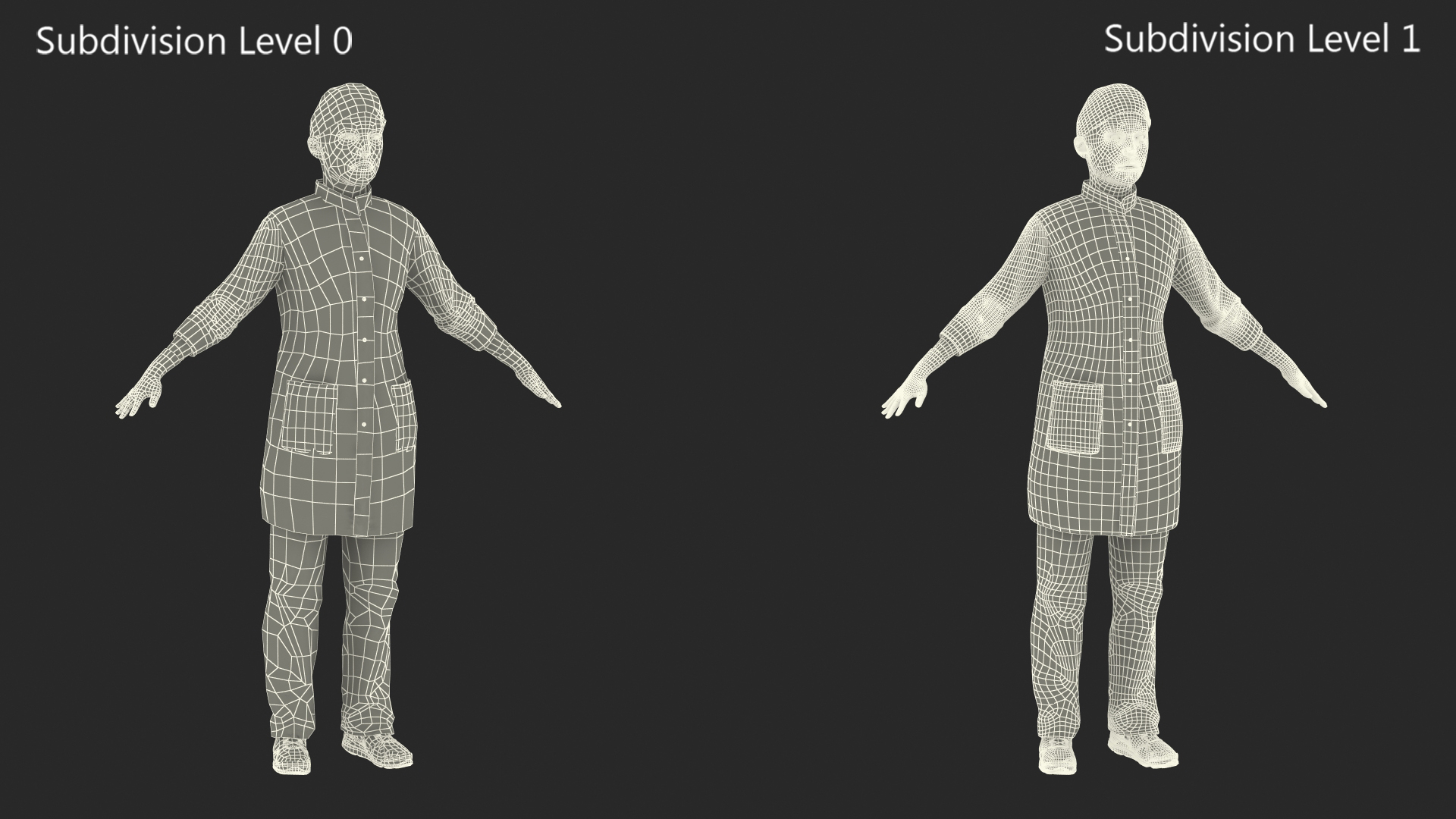 3D Lady Surgeon or Nurse Rigged model