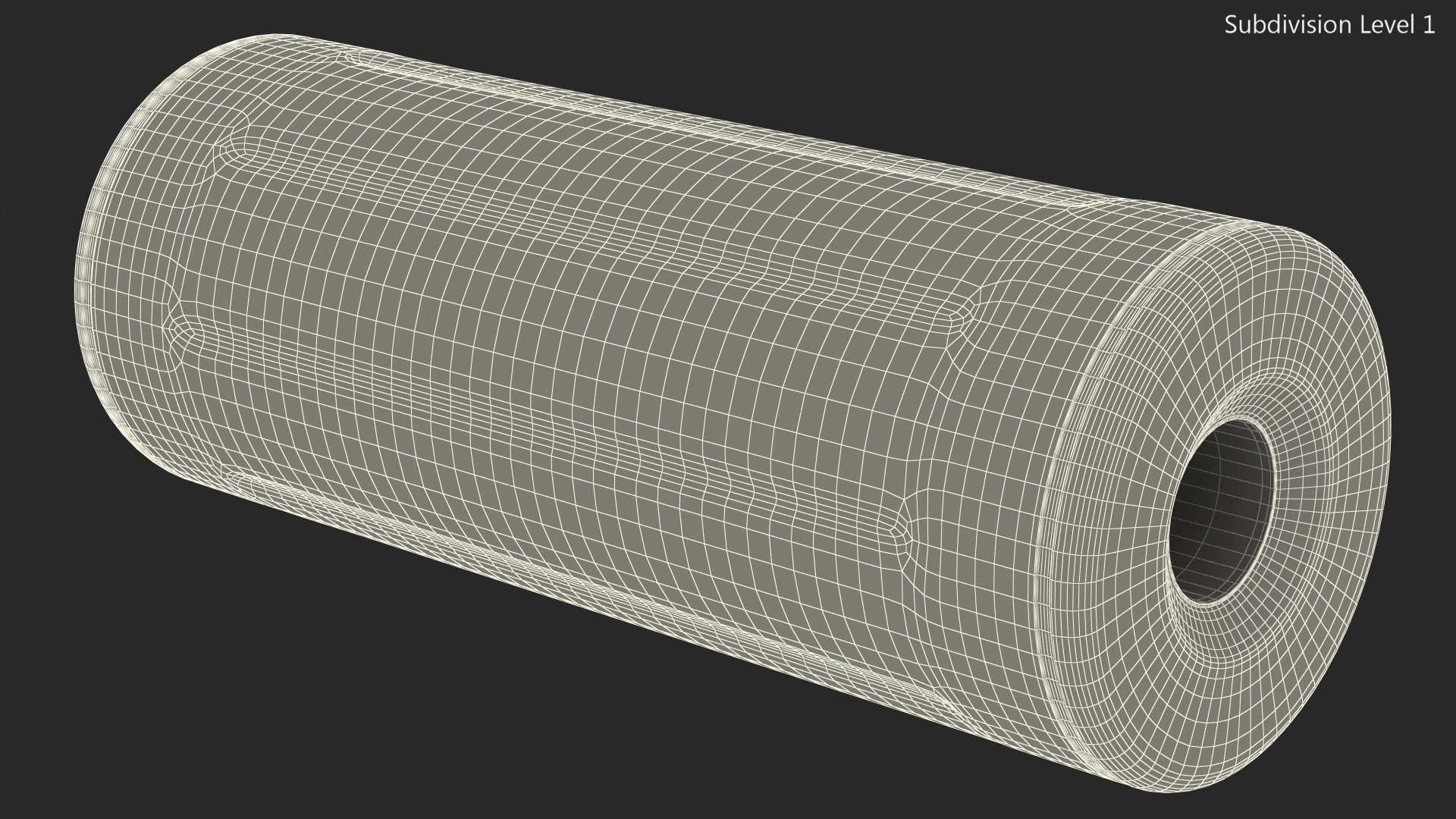 Soft Massage Foam Roller 3D model