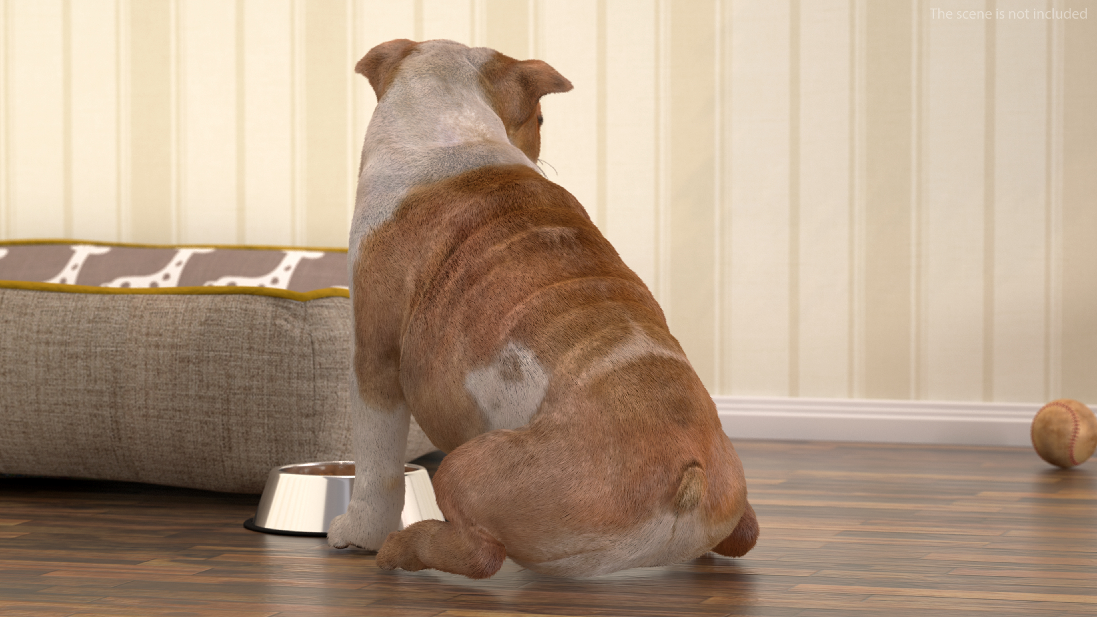 Bulldog Sitting Up Fur 3D