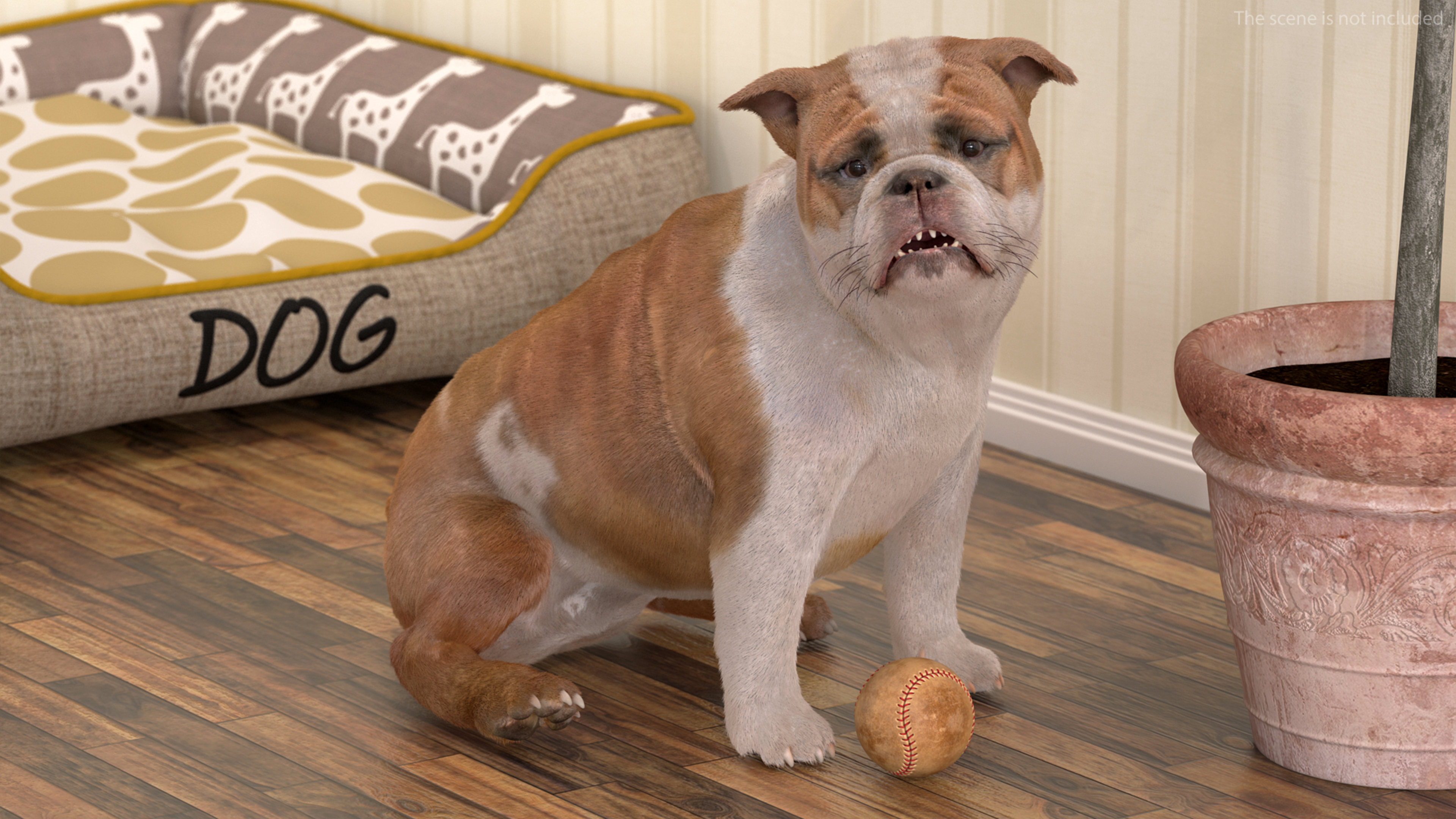 Bulldog Sitting Up Fur 3D