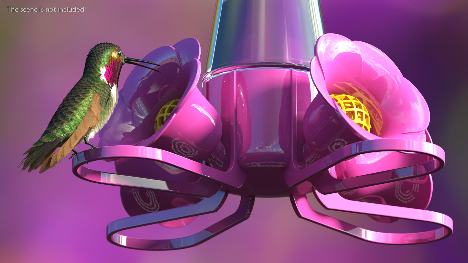 3D Pink Hummingbird Feeder model