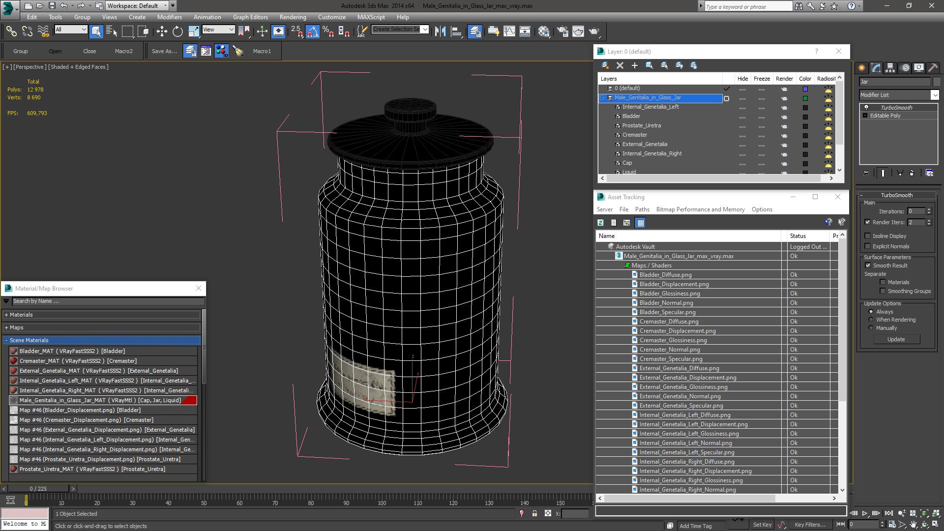Male Genitalia in Glass Jar 3D