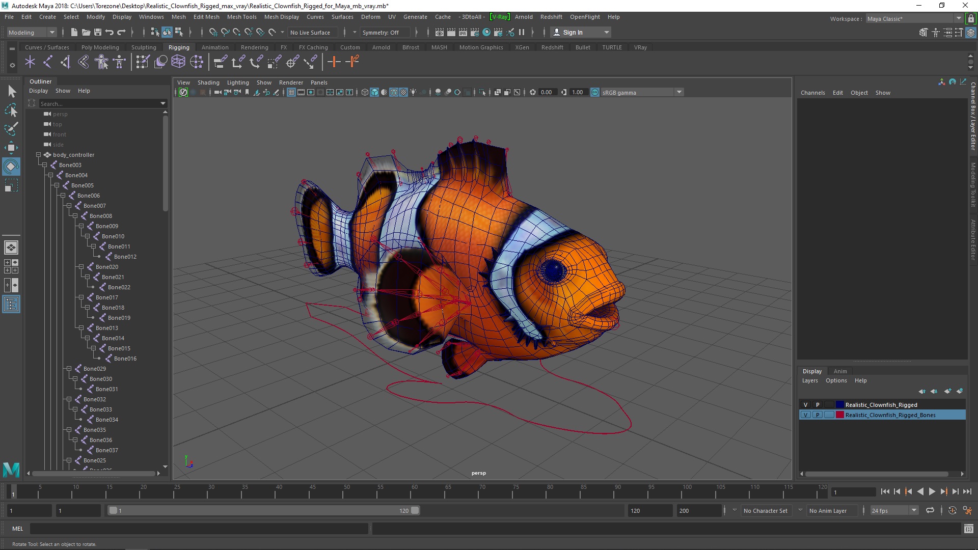 3D model Realistic Clownfish Rigged for Maya