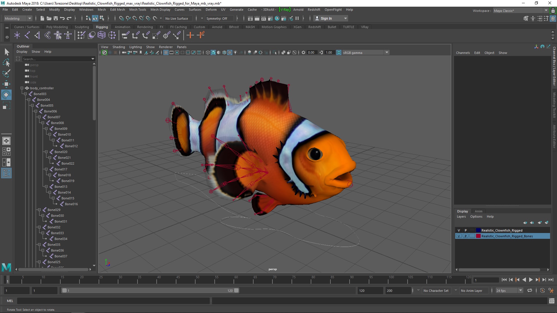 3D model Realistic Clownfish Rigged for Maya