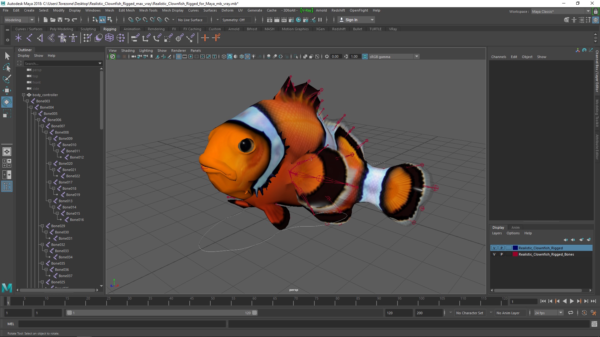 3D model Realistic Clownfish Rigged for Maya