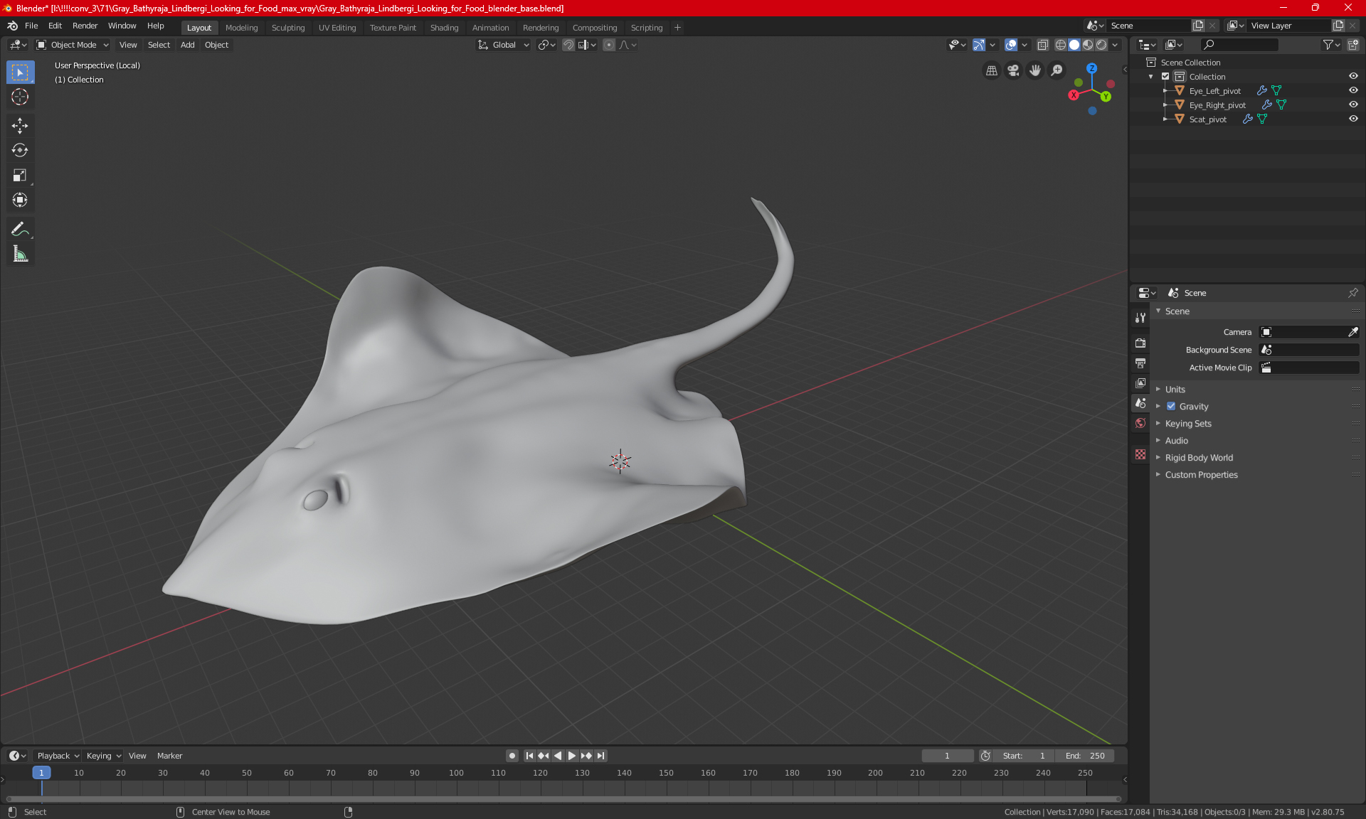 3D Gray Bathyraja Lindbergi Looking for Food