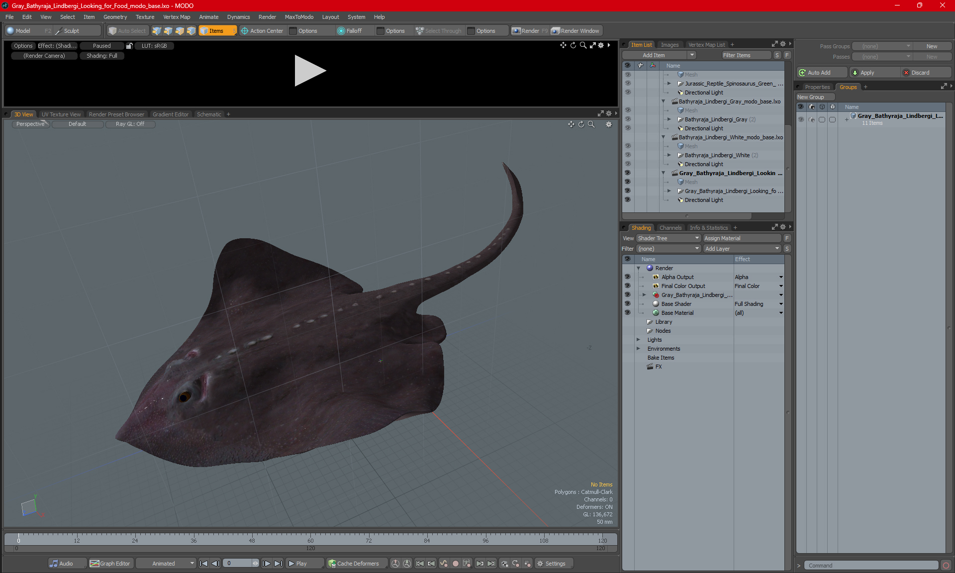 3D Gray Bathyraja Lindbergi Looking for Food