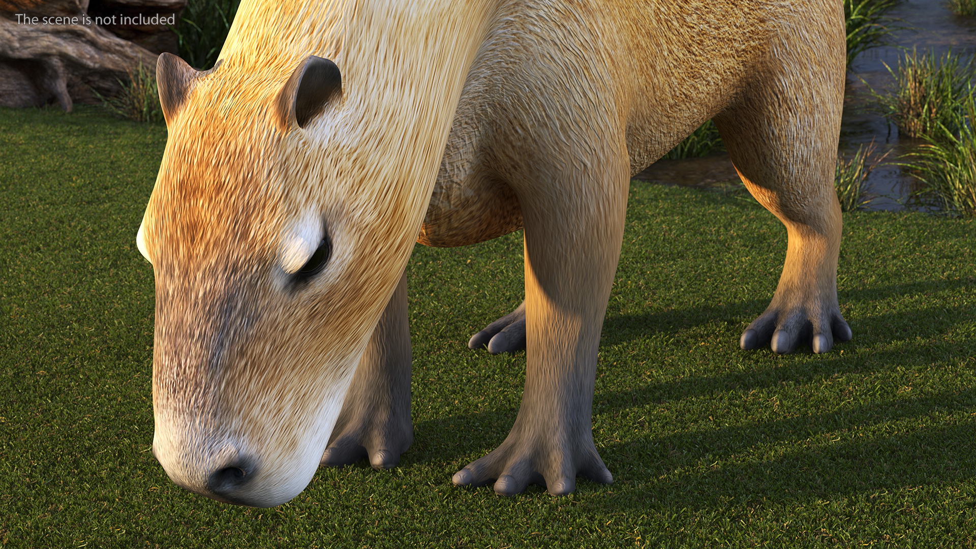 3D model Capybara Rigged