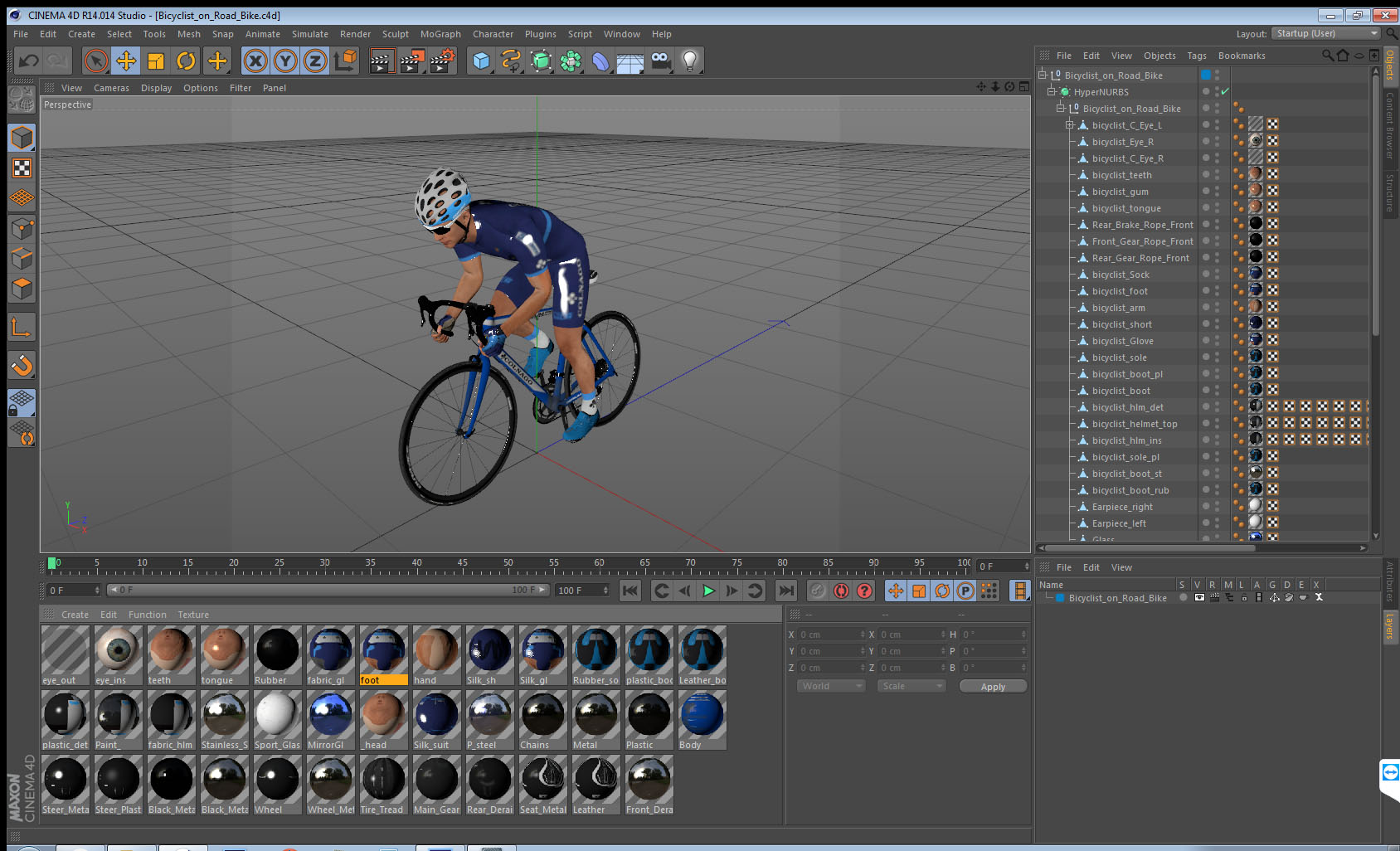 Bicyclist on Road Bike 3D