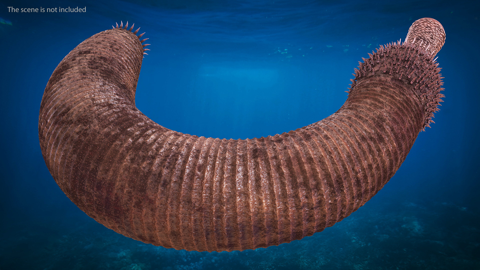 3D Ottoia Relict Marine Worm Rigged for Cinema 4D