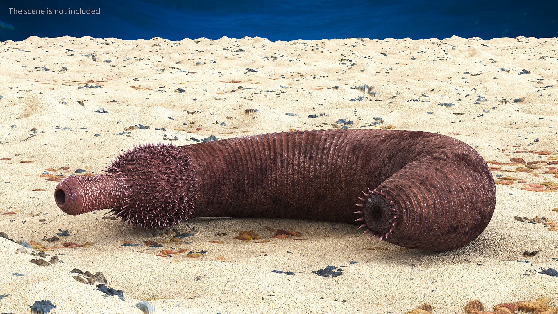 3D Ottoia Relict Marine Worm Rigged for Cinema 4D