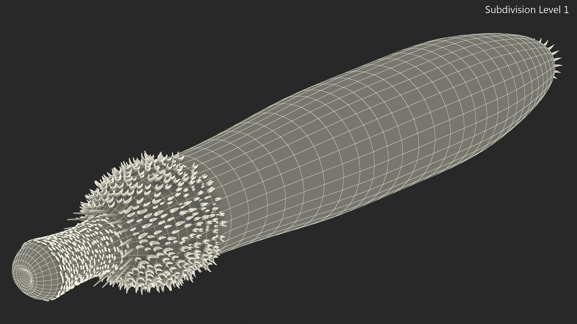 3D Ottoia Relict Marine Worm Rigged for Cinema 4D